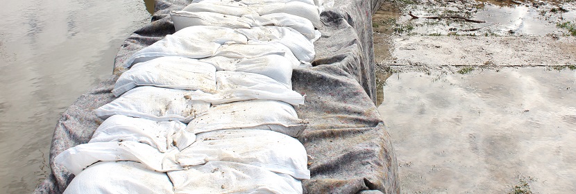 微波爐的滅菌效果到底如何 ?電器做除菌性能測試，用什么測試設備 