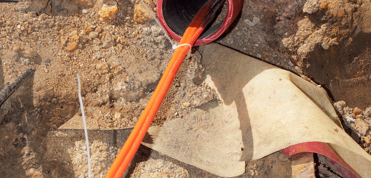 公共衛生檢測項目及標準有哪些？