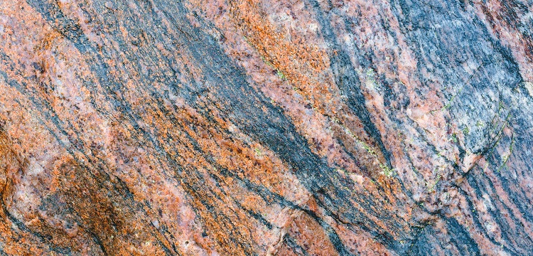 2022年廣東省最新林業碳匯申報要求匯總：方法學、申報模板、材料清單