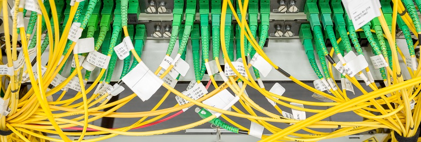 公共衛(wèi)生考研，這是最好的時期！！！?【2022為民實事系列評論】筑牢公共衛(wèi)生防護(hù)網(wǎng)，是須臾不可放松的大事 健明迪檢測