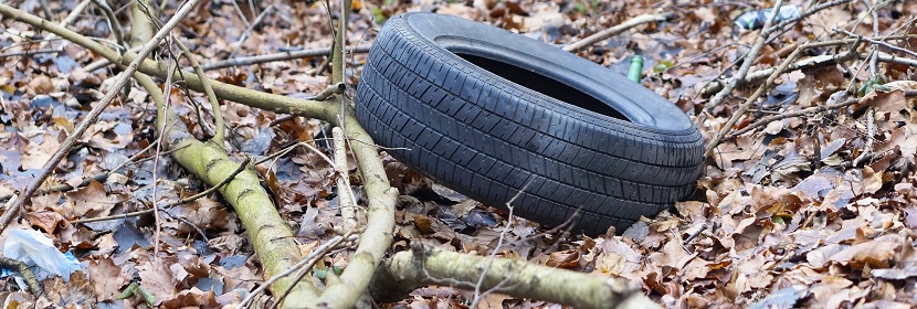 水質(zhì)檢測(cè)報(bào)告編制要點(diǎn)解析