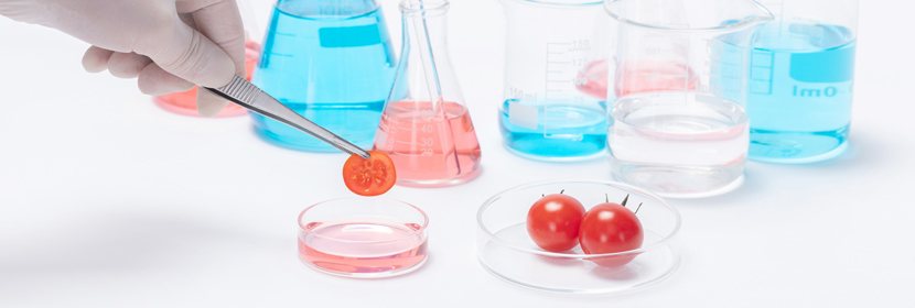 食品元素分析檢測