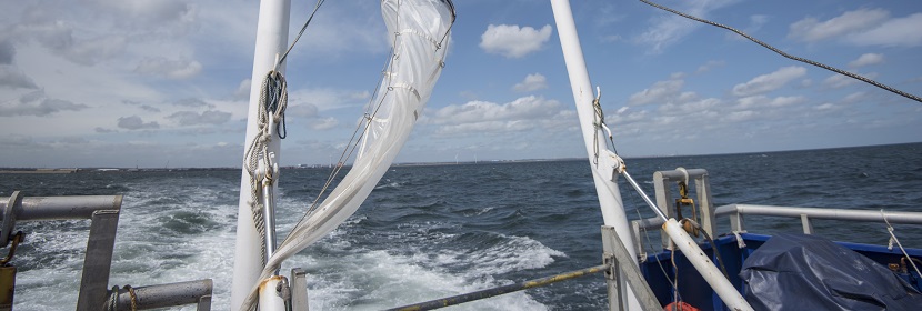 海洋儀器環(huán)境試驗