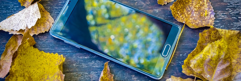 地塞米松檢測(cè)