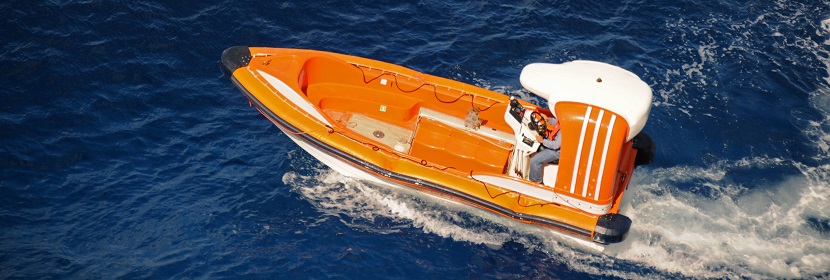 葉酸代謝基因檢測