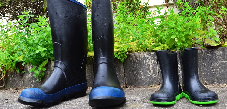 漆膜外觀檢測(cè)