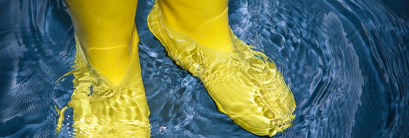 油茶籽檢測(cè)