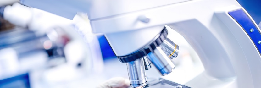 細菌內(nèi)毒素檢測