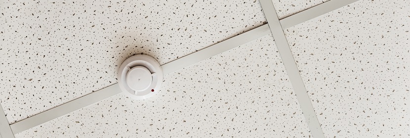 傷寒沙門氏菌檢測(cè)