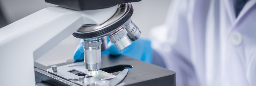 抗撕裂鋼絲繩芯輸送帶檢測(cè)