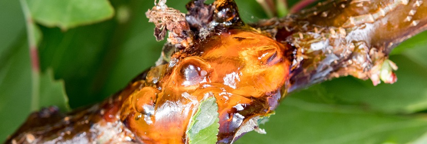 合成樹脂乳液外墻涂料檢測(cè)