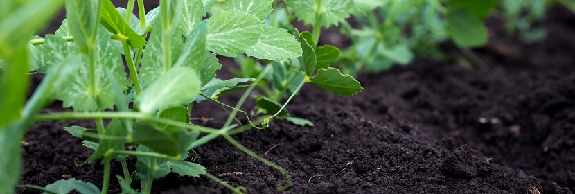 土壤修復(fù)用過(guò)氧化氫檢測(cè)