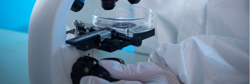 涂料彈性檢測(cè)