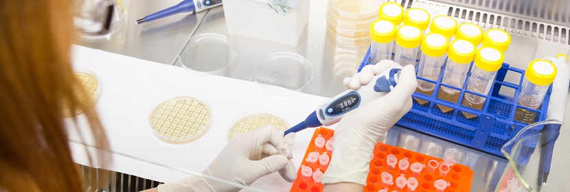 4-甲基-2-戊酮(甲基異丁基甲酮)檢測(cè)