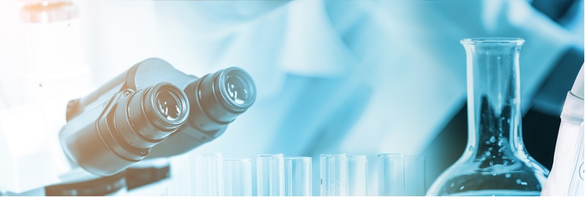 EVA熱熔膠粘劑檢測(cè)